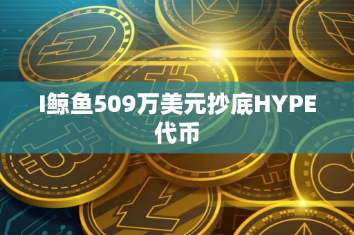 I鲸鱼509万美元抄底HYPE代币 I鲸鱼509万美元抄底HYPE代币