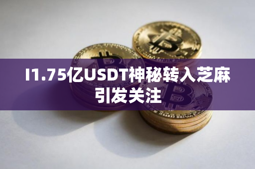 I1.75亿USDT神秘转入芝麻引发关注