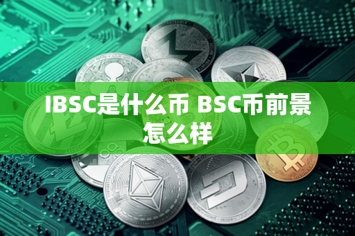 IBSC是什么币 BSC币前景怎么样