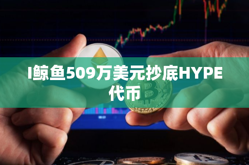 I鲸鱼509万美元抄底HYPE代币