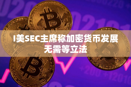 I美SEC主席称加密货币发展无需等立法
