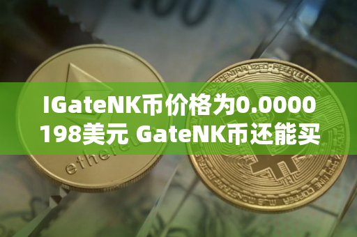 IGateNK币价格为0.0000198美元 GateNK币还能买吗