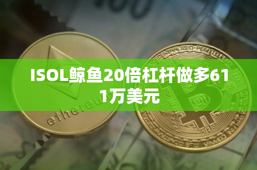 ISOL鲸鱼20倍杠杆做多611万美元