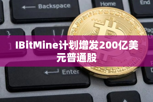 IBitMine计划增发200亿美元普通股