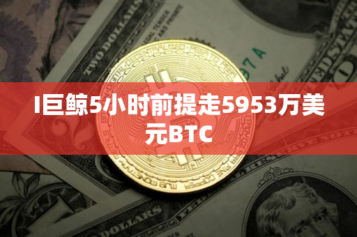 I巨鲸5小时前提走5953万美元BTC