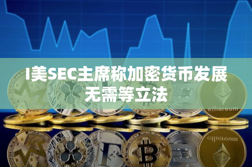 I美SEC主席称加密货币发展无需等立法