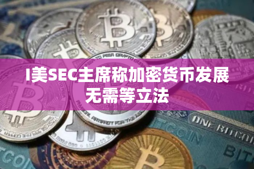 I美SEC主席称加密货币发展无需等立法