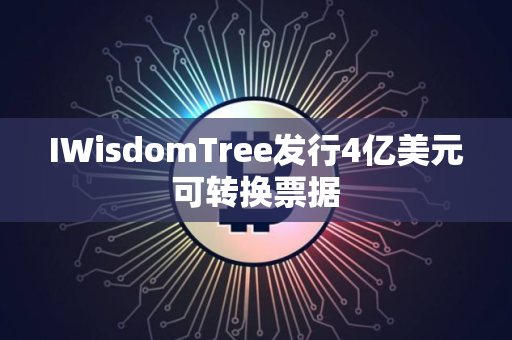 IWisdomTree发行4亿美元可转换票据