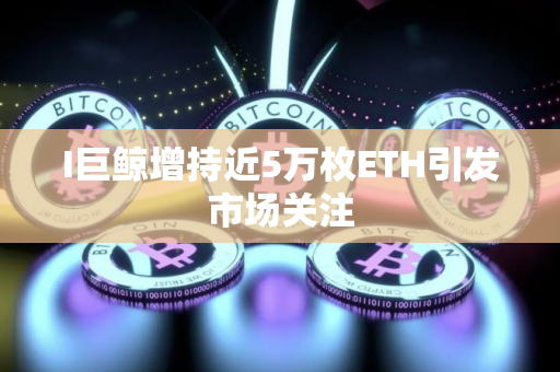 I巨鲸增持近5万枚ETH引发市场关注