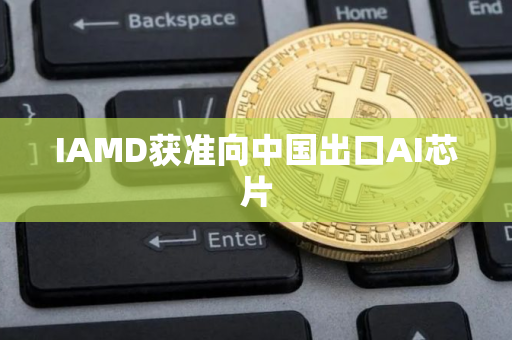 IAMD获准向中国出口AI芯片