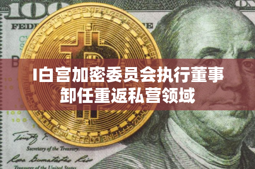 I白宫加密委员会执行董事卸任重返私营领域
