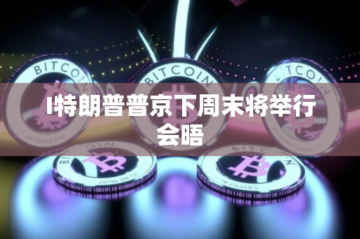 I特朗普普京下周末将举行会晤