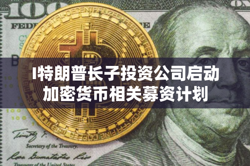 I特朗普长子投资公司启动加密货币相关募资计划