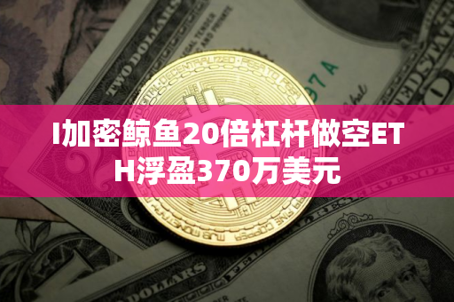 I加密鲸鱼20倍杠杆做空ETH浮盈370万美元