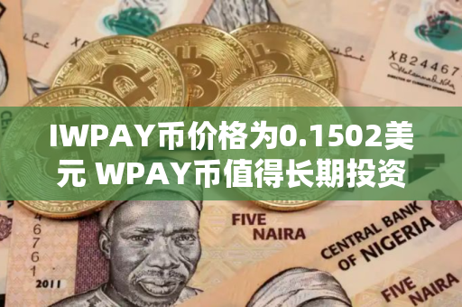 IWPAY币价格为0.1502美元 WPAY币值得长期投资吗
