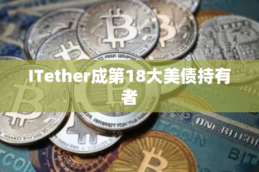 ITether成第18大美债持有者