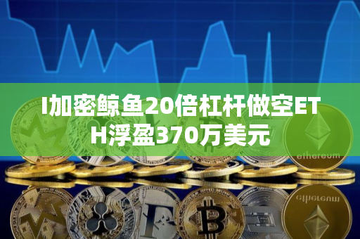 I加密鲸鱼20倍杠杆做空ETH浮盈370万美元
