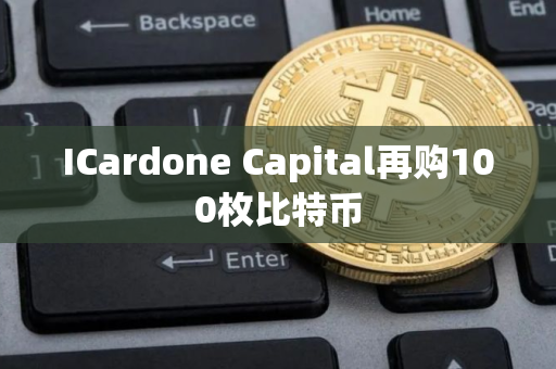 ICardone Capital再购100枚比特币
