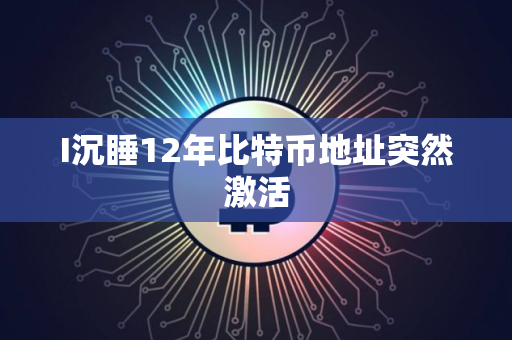 I沉睡12年比特币地址突然激活
