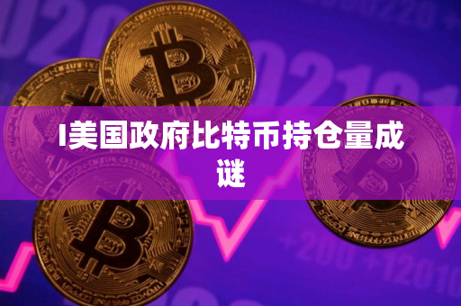 I美国政府比特币持仓量成谜 I美国政府比特币持仓量成谜