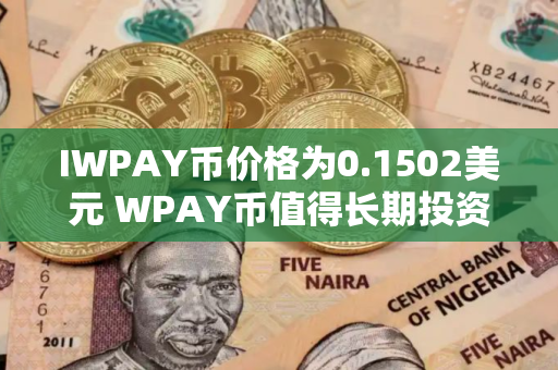 IWPAY币价格为0.1502美元 WPAY币值得长期投资吗
