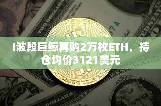 I波段巨鲸再购2万枚ETH，持仓均价3121美元