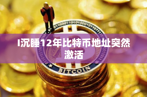 I沉睡12年比特币地址突然激活