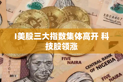 I美股三大指数集体高开 科技股领涨