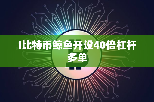 I比特币鲸鱼开设40倍杠杆多单