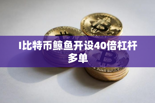 I比特币鲸鱼开设40倍杠杆多单