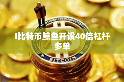I比特币鲸鱼开设40倍杠杆多单