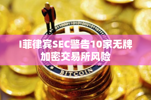 I菲律宾SEC警告10家无牌加密交易所风险