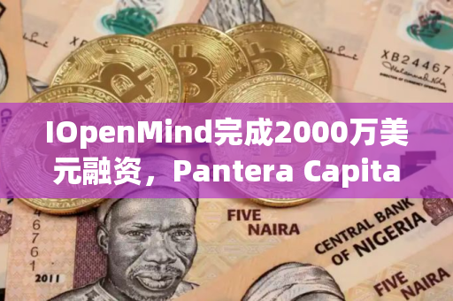 IOpenMind完成2000万美元融资，Pantera Capital领投