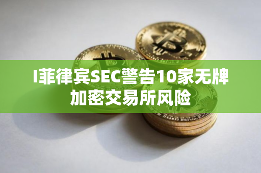 I菲律宾SEC警告10家无牌加密交易所风险