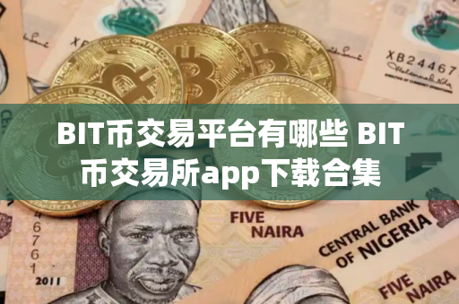 BIT币交易平台有哪些 BIT币交易所app下载合集