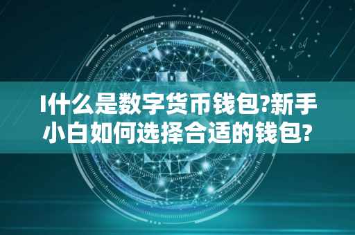 I什么是数字货币钱包?新手小白如何选择合适的钱包?