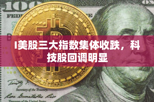 I美股三大指数集体收跌，科技股回调明显