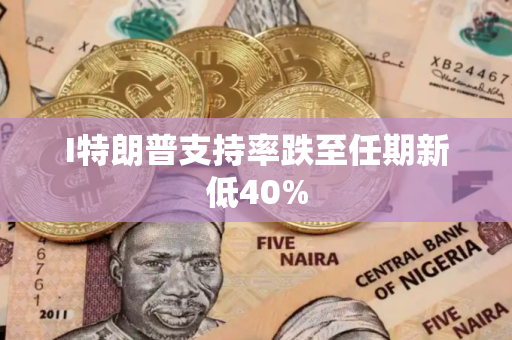 I特朗普支持率跌至任期新低40%