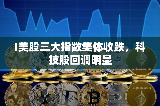 I美股三大指数集体收跌，科技股回调明显