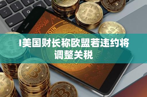 I美国财长称欧盟若违约将调整关税