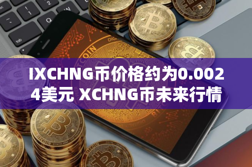 IXCHNG币价格约为0.0024美元 XCHNG币未来行情预测