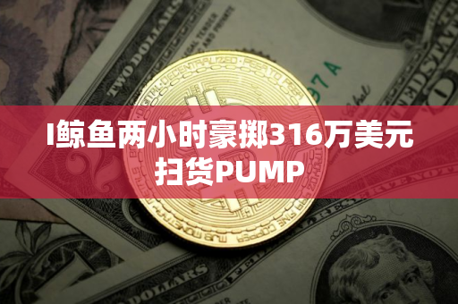I鲸鱼两小时豪掷316万美元扫货PUMP