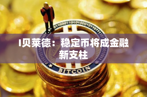 I贝莱德：稳定币将成金融新支柱