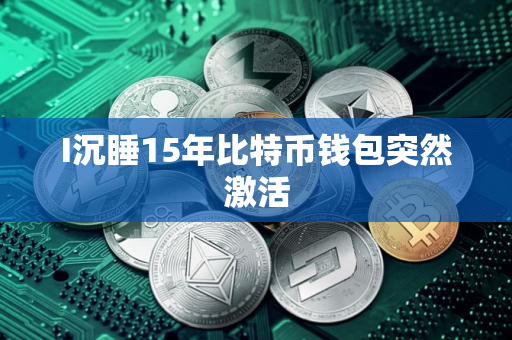 I沉睡15年比特币钱包突然激活