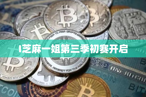 I芝麻一姐第三季初赛开启