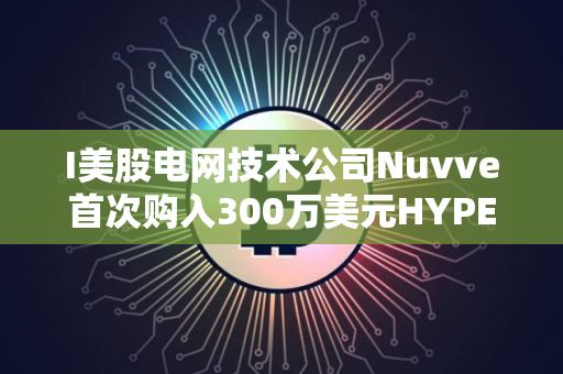 I美股电网技术公司Nuvve首次购入300万美元HYPE