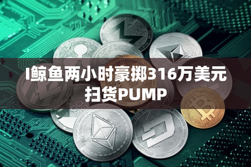 I鲸鱼两小时豪掷316万美元扫货PUMP