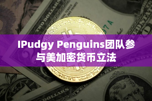 IPudgy Penguins团队参与美加密货币立法