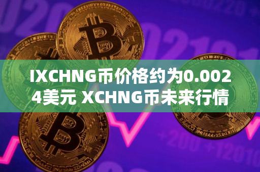 IXCHNG币价格约为0.0024美元 XCHNG币未来行情预测
