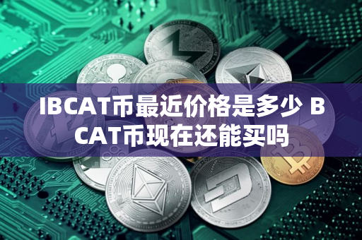 IBCAT币最近价格是多少 BCAT币现在还能买吗